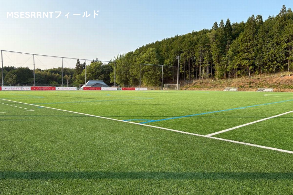 神石牛