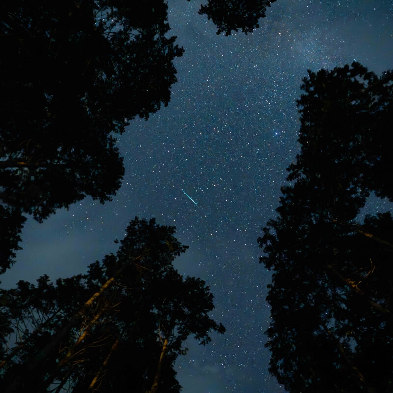 星降る伝説の星空観賞