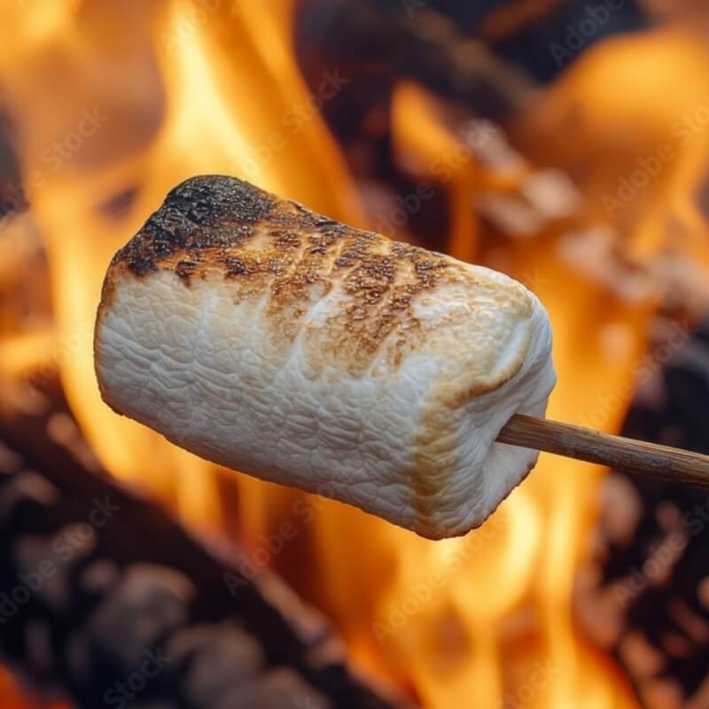 焼きマシュマロ