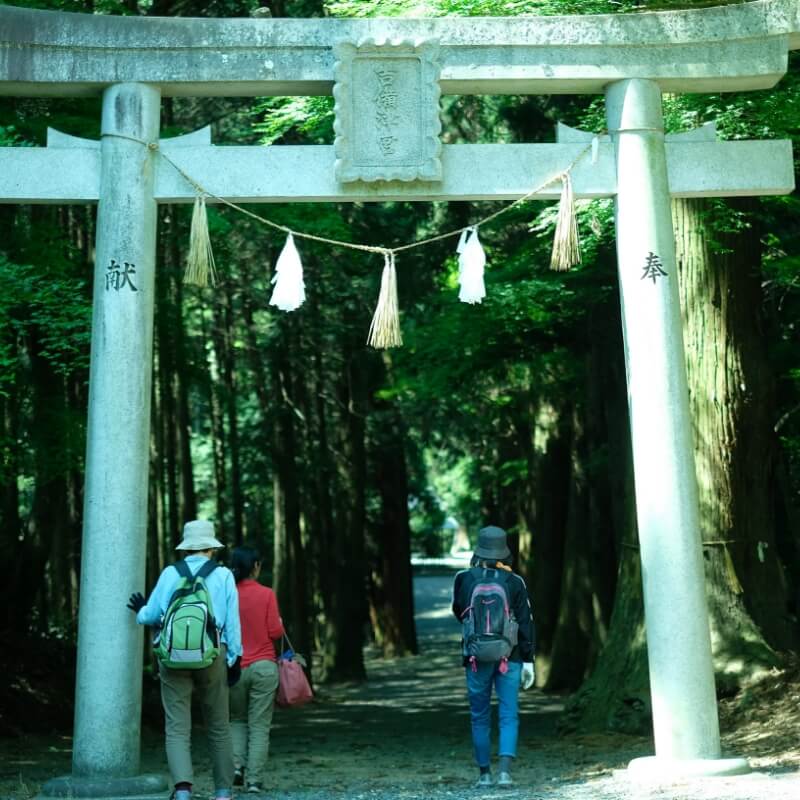 神社、お寺巡り