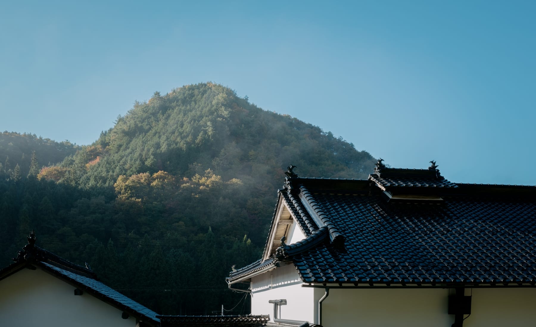 風景写真