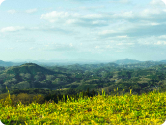 神石の風景